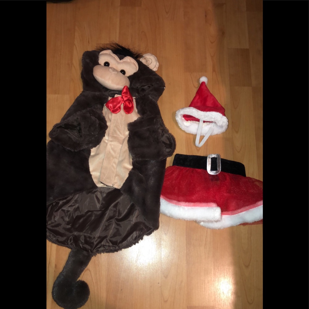 Dog Costume